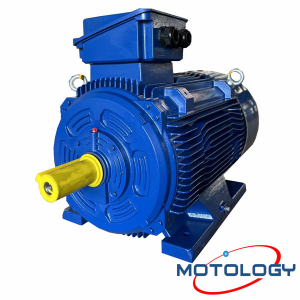 Động cơ đa năng Motology