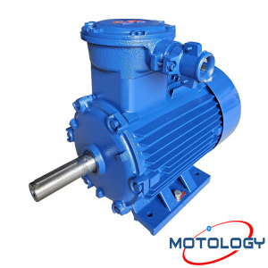 Động cơ phòng nổ Motology